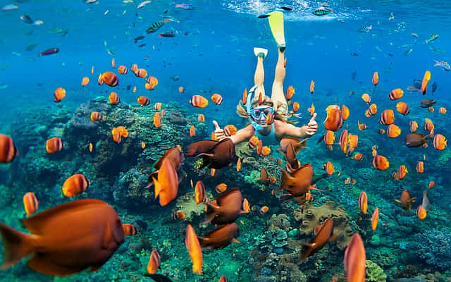 Sharm El-Sheikh
