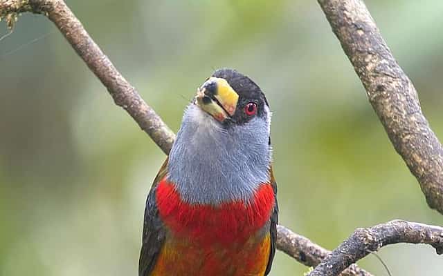 Quito