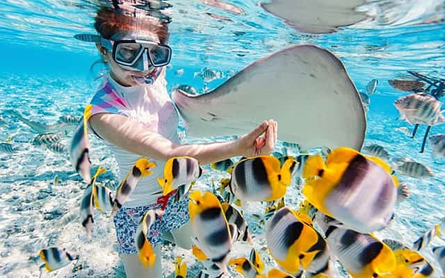 Blue Lagoon Snorkeling