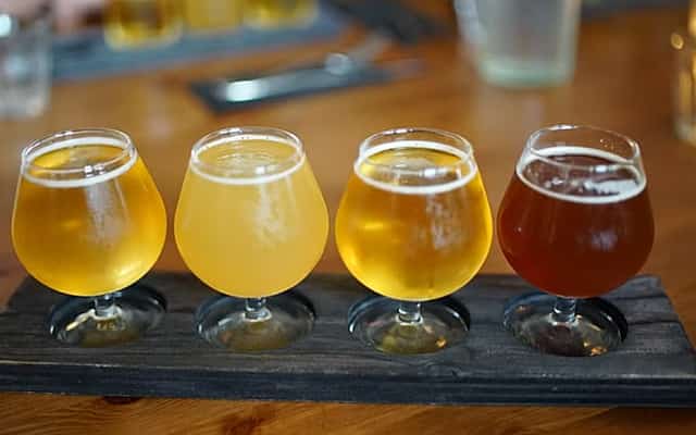 Reykjavik Beer & Booze Tour