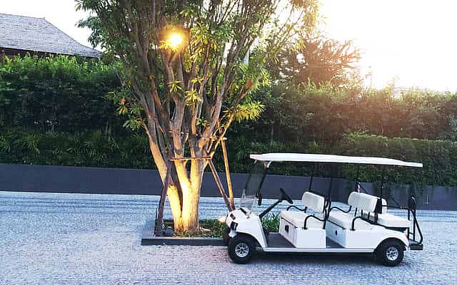 Golf Cart Tour