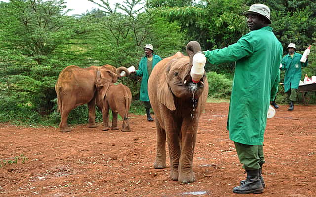 Nairobi