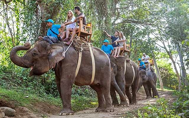 Bali Hayvanat Bahçesi Fil Gezintisi
