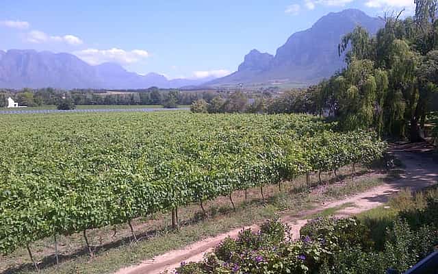 Franschhoek