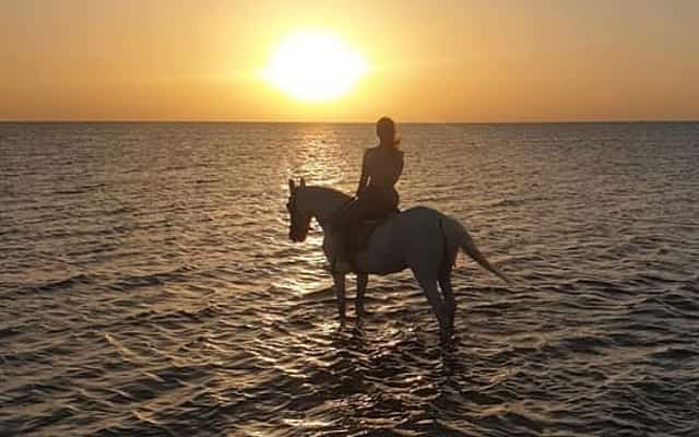 Red Sea