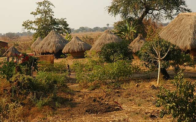 Kakumbi