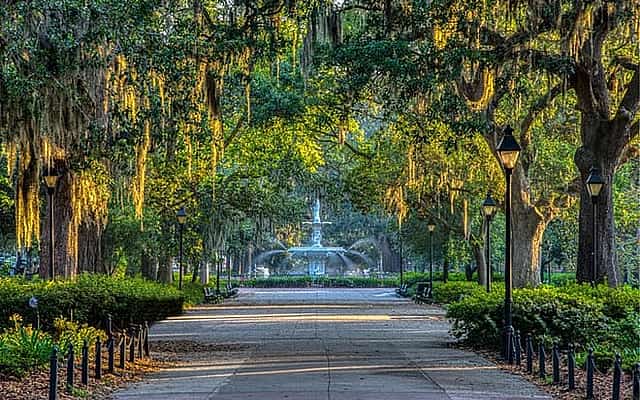 Savannah