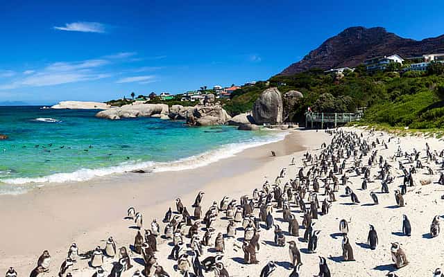 Table Mountain