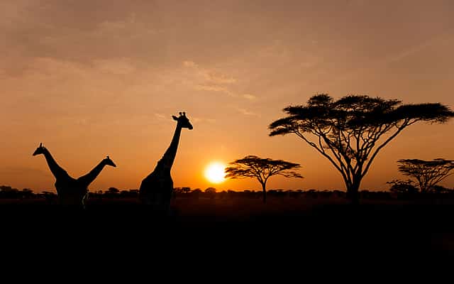 Aquila Private Game Reserve