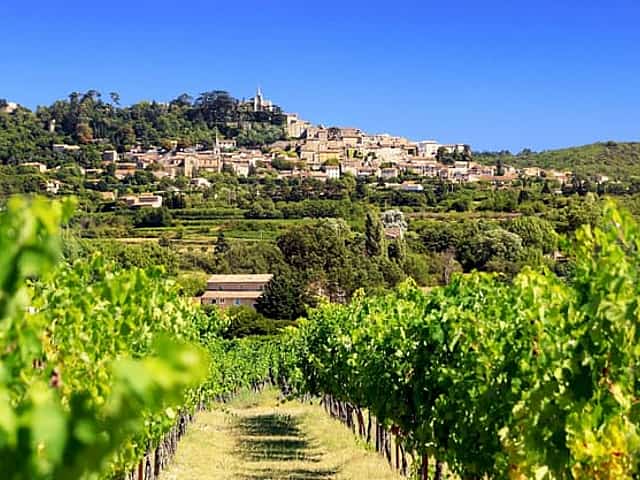 Antibes Shore Excursion: Private Provence Wine Experience