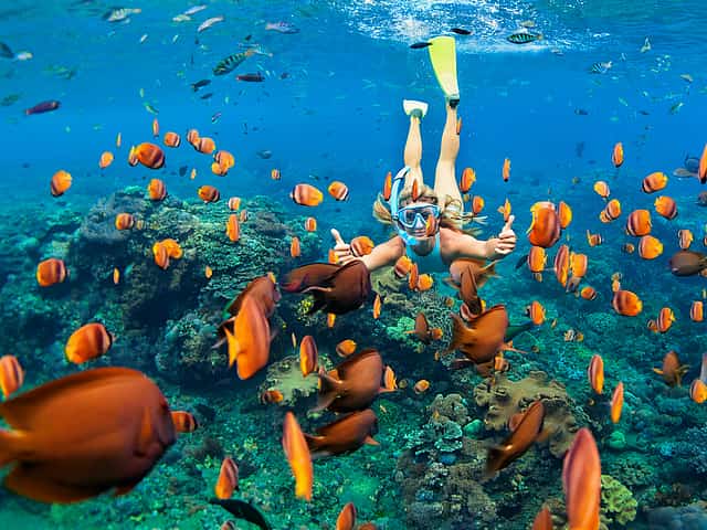 Snorkeling Tour to Ras Mohamed and White Island by Boat