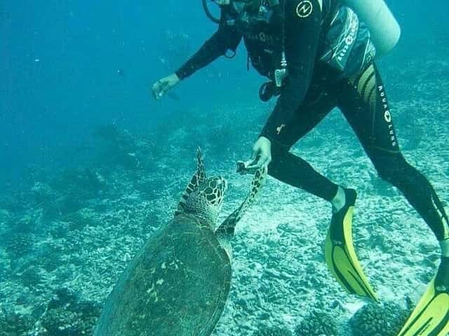 Explore Submerged Treasures: Scuba Diving Experience in Djerba