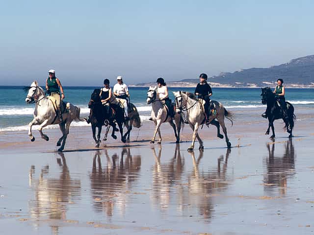 Seaside Horse Riding 30 minutes