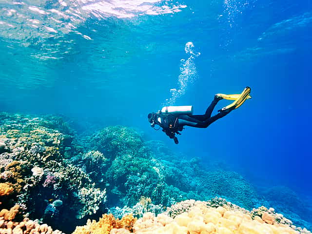 PADI Rescue Diver Certification Course