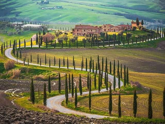 Brunello di Montalcino Wine tour from San Gimignano 