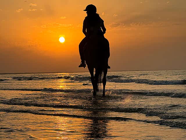 Horse Riding Oman