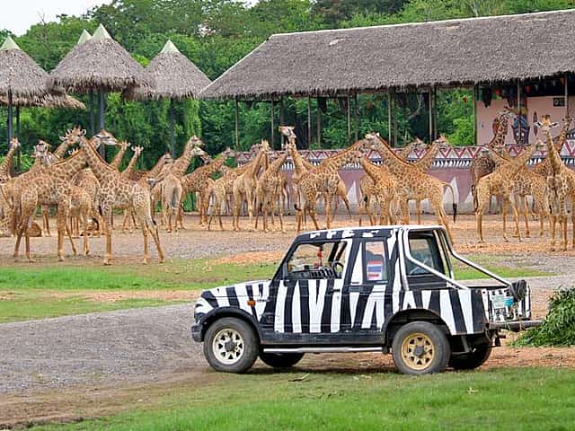 Bangkok: Safari World Tour with Safari Park Ticket and Transfer