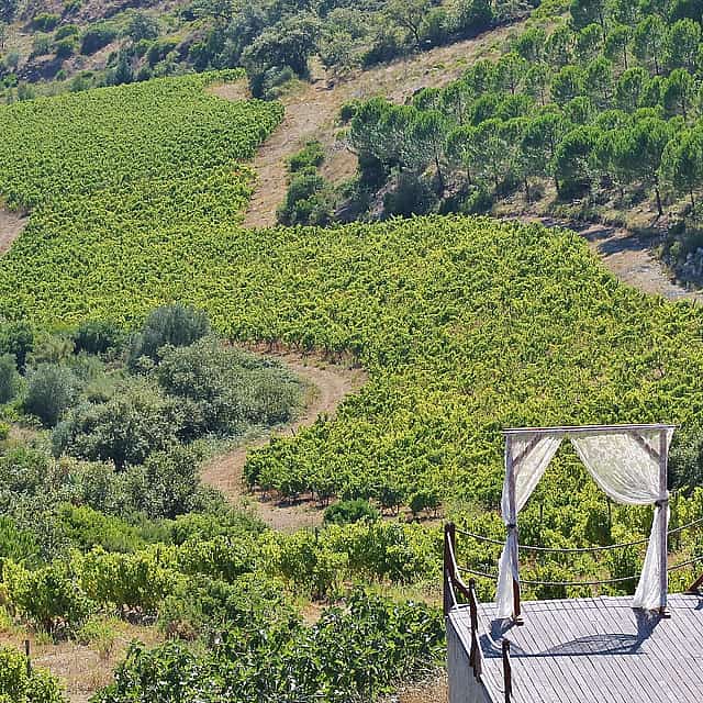 Lisbon´s Private Fernão Pó Area Wine Tasting