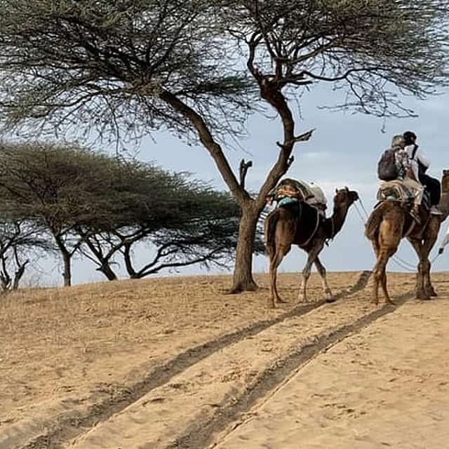 Private Osian Desert Tour with Camel Safari, Dinner & Mandore
