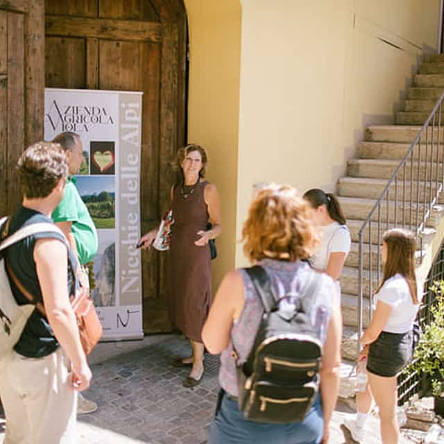 Wine Tasting at Azienda Agricola Viola in Mezzocorona