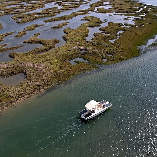 Discover Faro's Beauty: 1-hour Ria Formosa Eco Tour – Solar-Powered Tranquility in a Natural Park