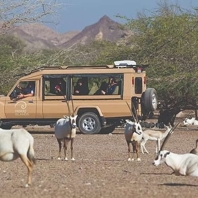 Nature and Wildlife Drive with Lunch- Must do Experience