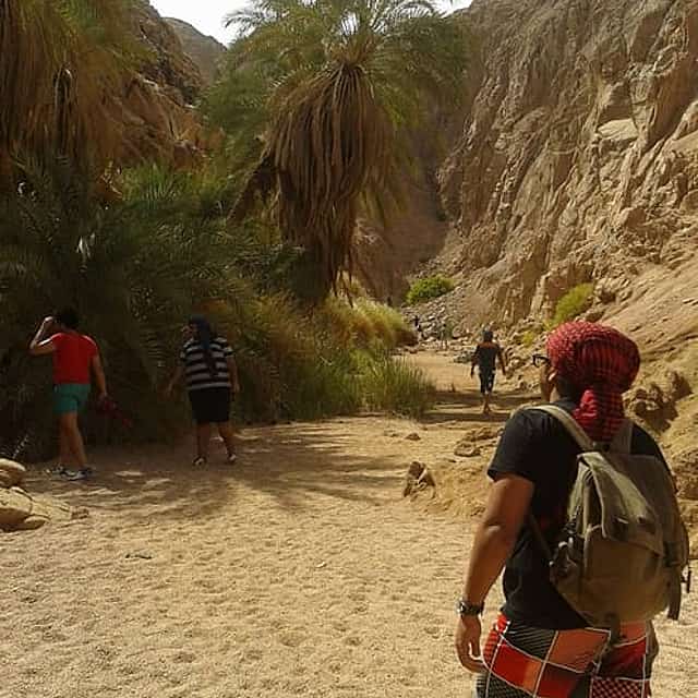ATV Quad Bike Ride At Dahab