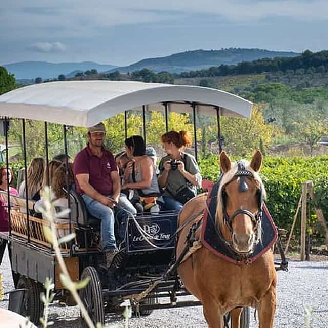 Exclusive Private Suvereto Experience from Florence: Land of Elisa Bonaparte