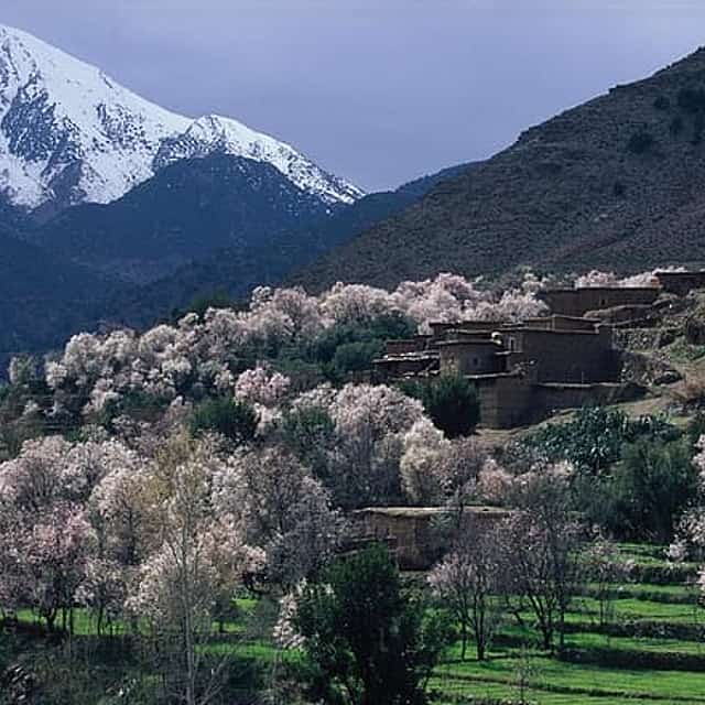 Four Valleys at Atlas Mountains private tour