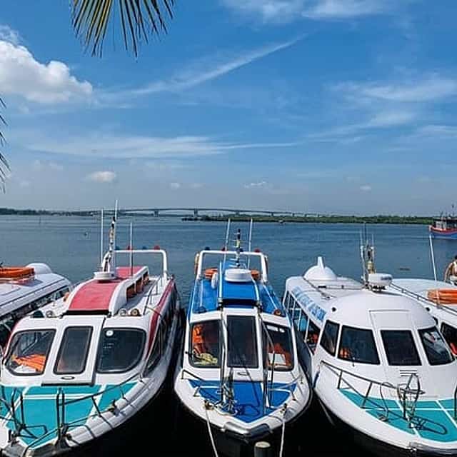 Cham Island Trip by Speed Boat including Snorkeling from Hoi An or Da Nang