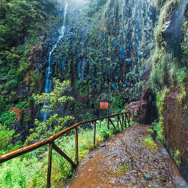 Excursión de día completo a pie por los lagos de Madeira
