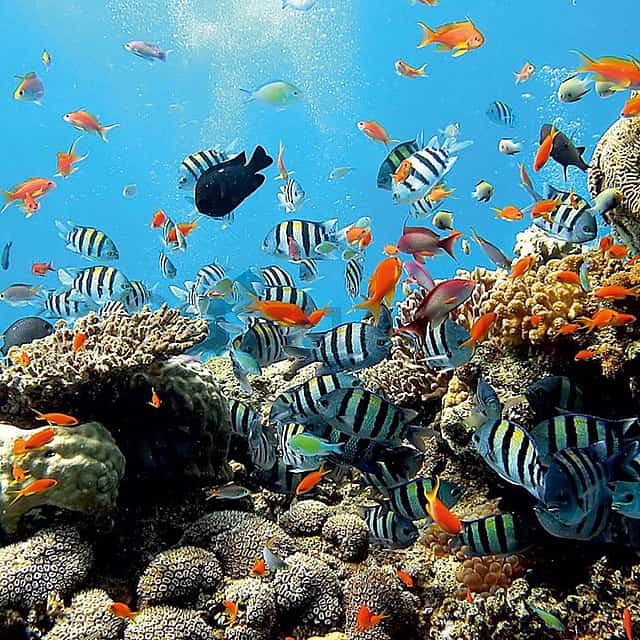 East Bali Snorkeling, Blue Lagoon and Waterfall Full-day Walking Tour