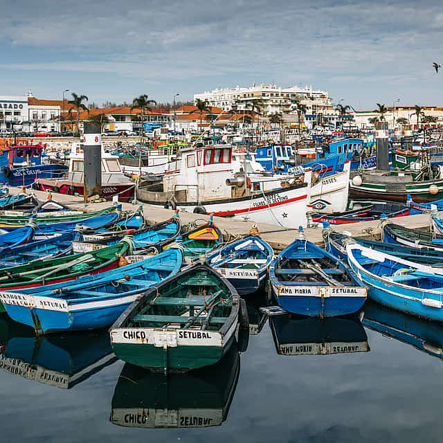 Traditional Fisherman's Food Experience