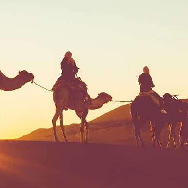 ركوب الجمال
