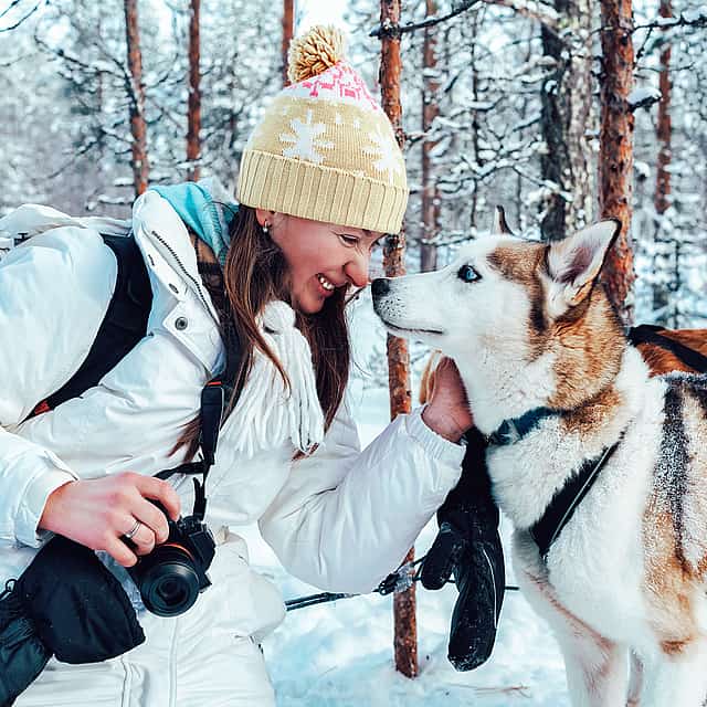 30-minute Husky Safari and Farm Visit