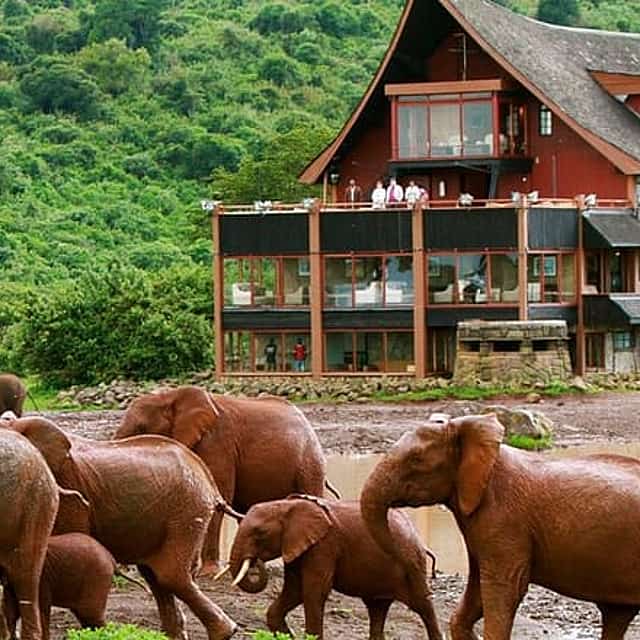 Private 6 Days Aberdares, Lake Nakuru and Masai Mara Wildlife Safari