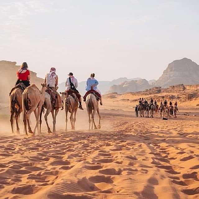 Amman ou Mer Morte à Wadi Rum Excursion privée d'une journée
