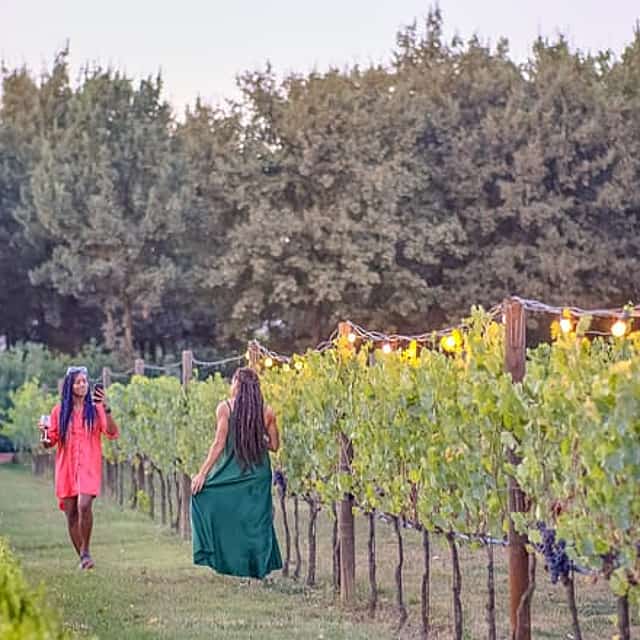 Small-Group Winery Tour with Tasting and Dinner in Chianti