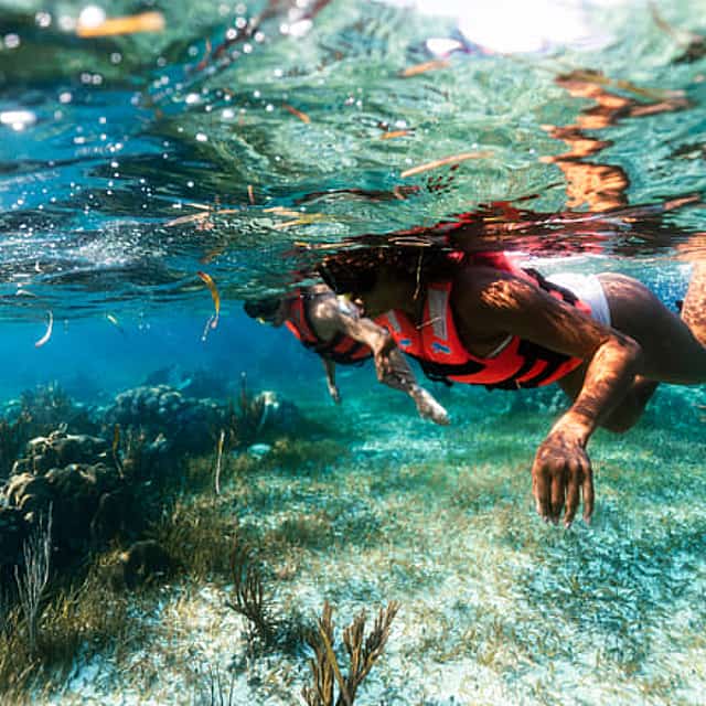 Puerto Morelos Reef Snorkeling Adventure with beachside lunch