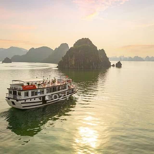 Cozy Bay Cruises - Best Boutique Cruise in Halong Bay 2D/1N Tour