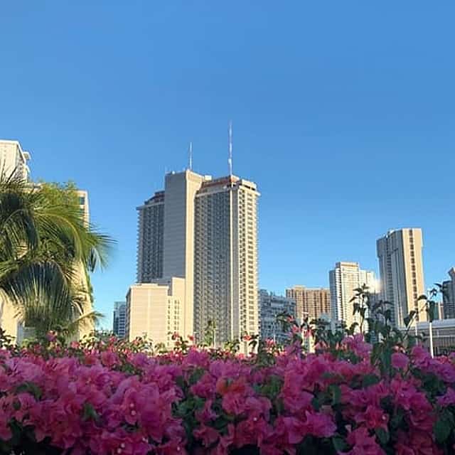 Honolulu Scavenger Hunt & Highlights Self-Guided Walking Tour