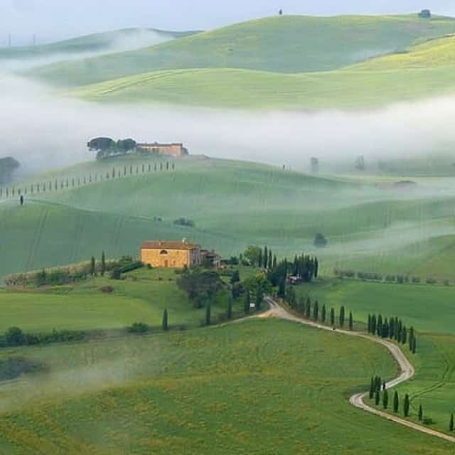 Full Day PRIVATE Guided Tour in Val D'Orcia Region