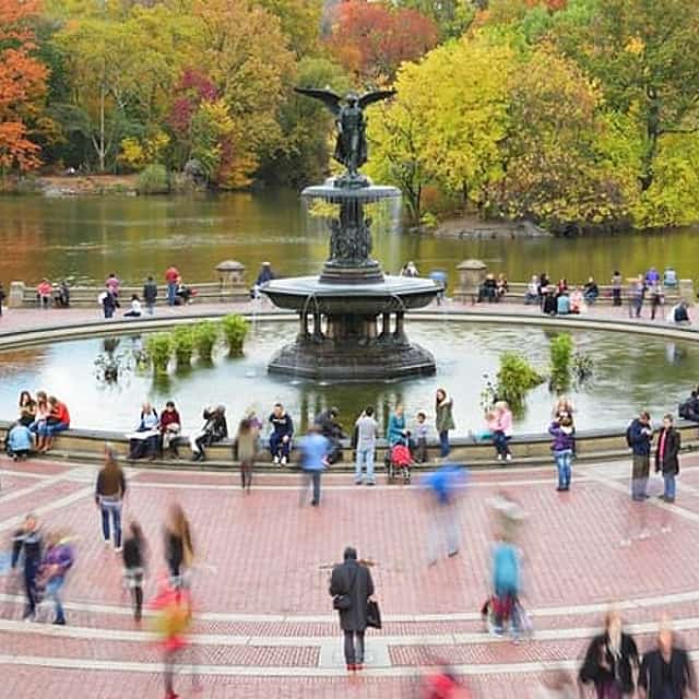 New York City Tour in One Day: Central Park, 911 and Ferry Statue