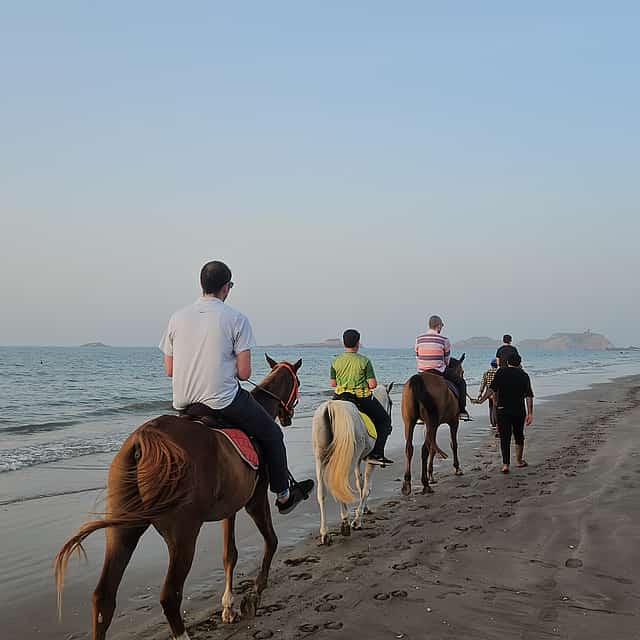 Horse Riding Muscat, 2-stündiger Ausritt
