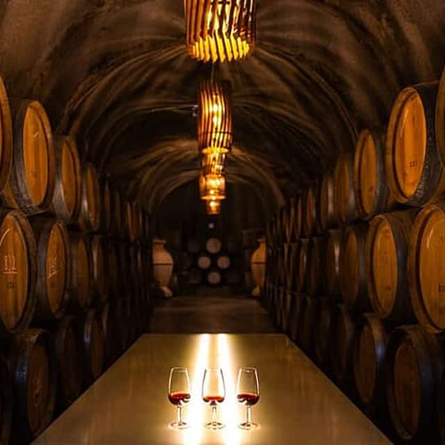 Douro Luxury - Douro Private Cruise with Premium Winery and Restaurant