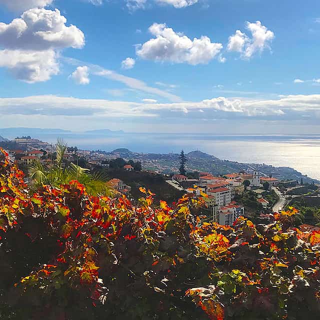 Paseo de medio día por la Levada Norte