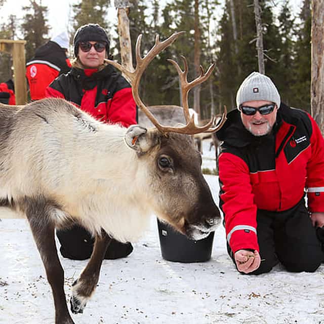 Meet the Reindeer like a local with a snowmobile sled, Levi