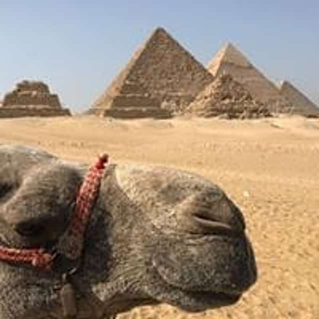 DISCOVER EGYPT,Cairo - Nile Cruise{ASWAN-LUXOR} - Hurghada(09 Days /08 Nights)