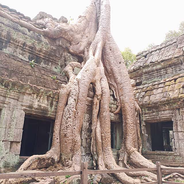 Private One Day Trip-The Best Experience in Siem Reap