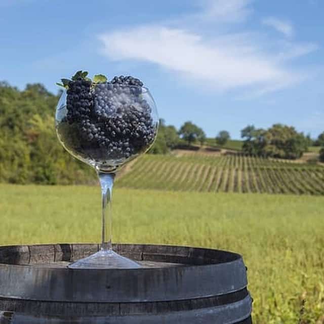 Exclusive Private Tuscan Pinot Noir Experience, Land of Medici Family